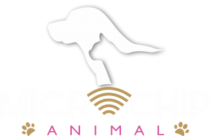 Microchip Animal em formato de cápsula de vidro com aplicador 2,12 x 12mm